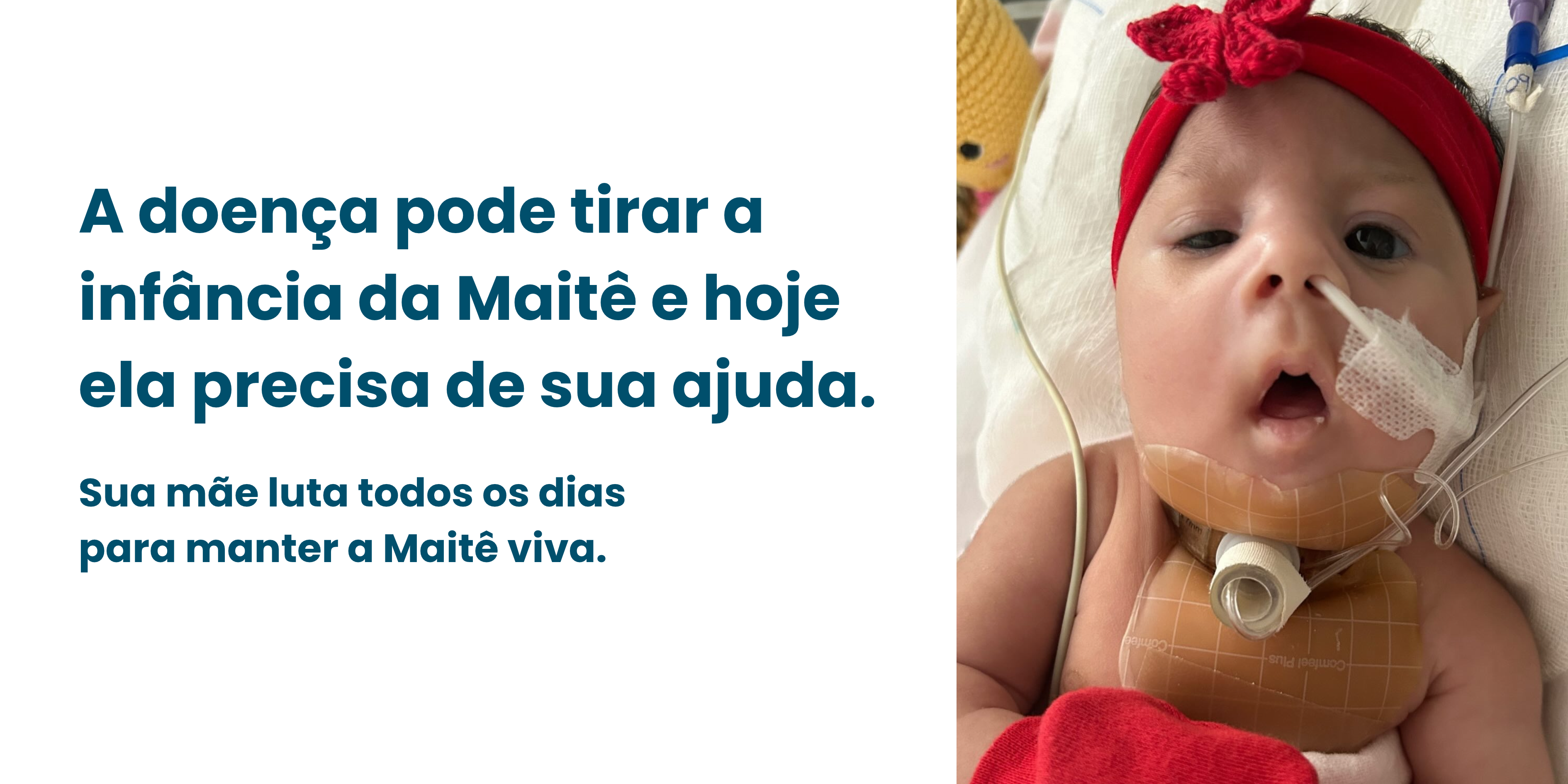 Campanha da Maitê